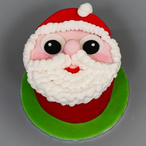 Sponge Christmas Cake Santa Design